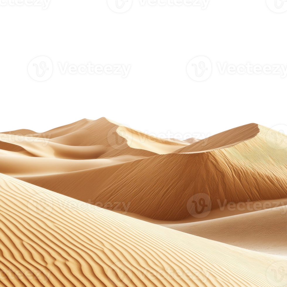 Sand dunes in the desert on transparent background png