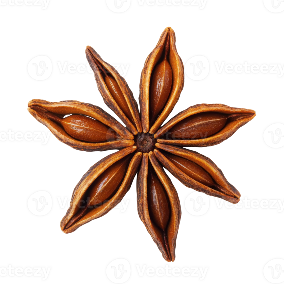 Anise star on black base on transparent background png