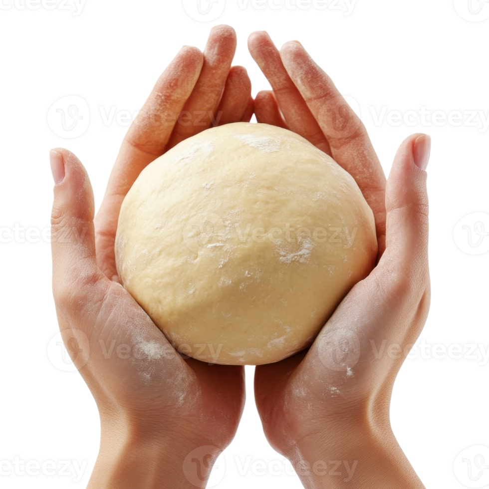 Dough ball in two hands on transparent background png