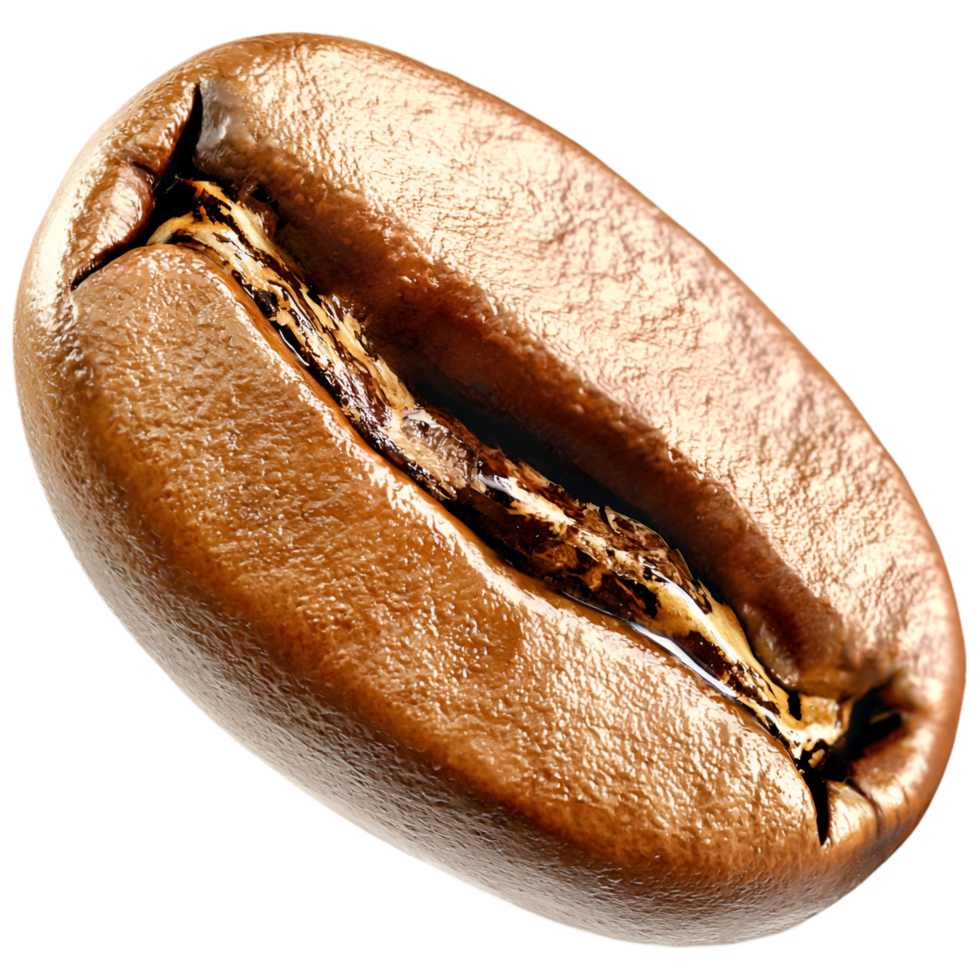 Roasted brown coffee bean rich aromatic freshly brewed strong natural organic texture png