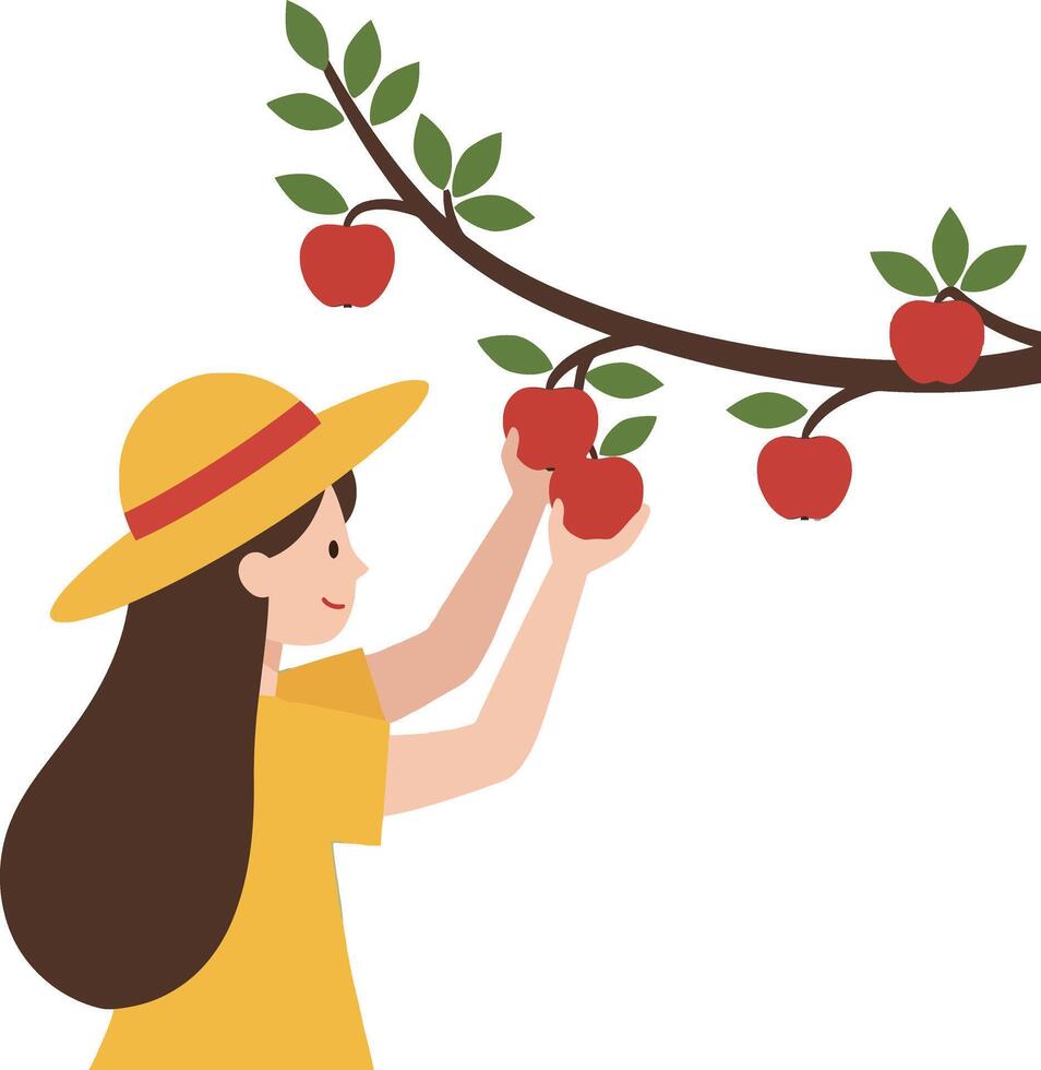Woman in yellow shirt picking red apples from a tree branch in flat art vector
