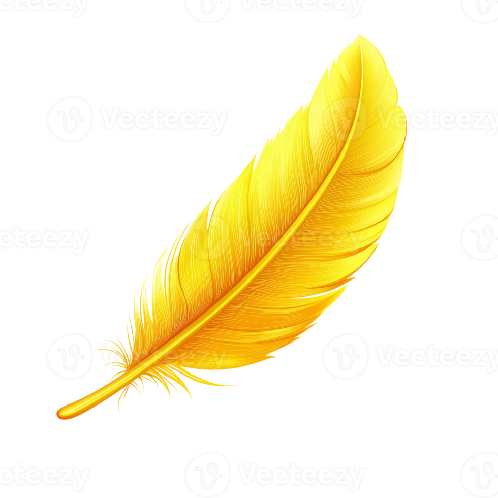 Single Golden Yellow Feather - Isolated Design Element on transparent background png