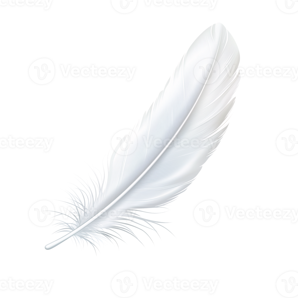 Single White Feather Elegant Design Element, Isolated on Black Background png