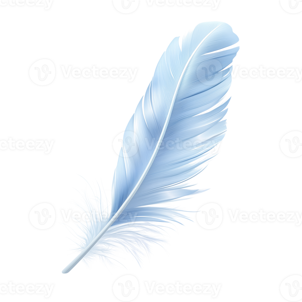 Elegant Light Blue Feather Design High-Resolution Image for Design Projects png