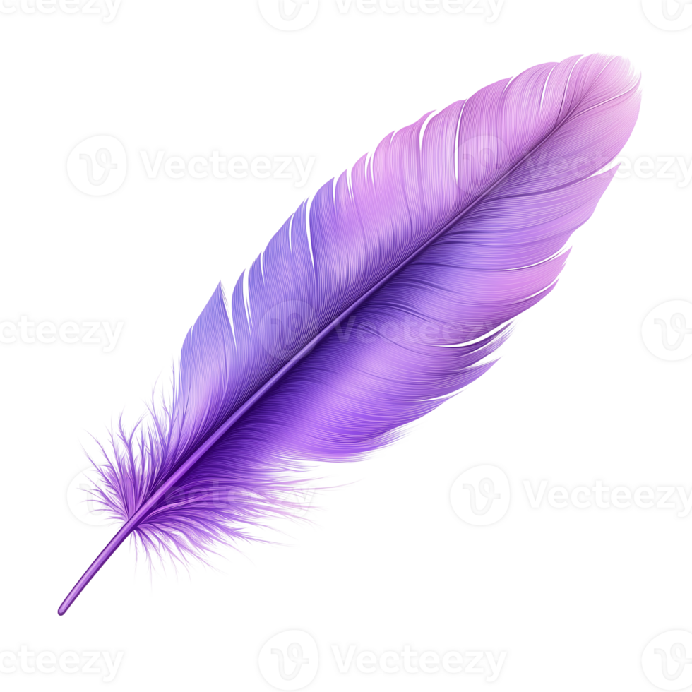 Elegant Purple Feather High-Resolution Design Element on transparent background png