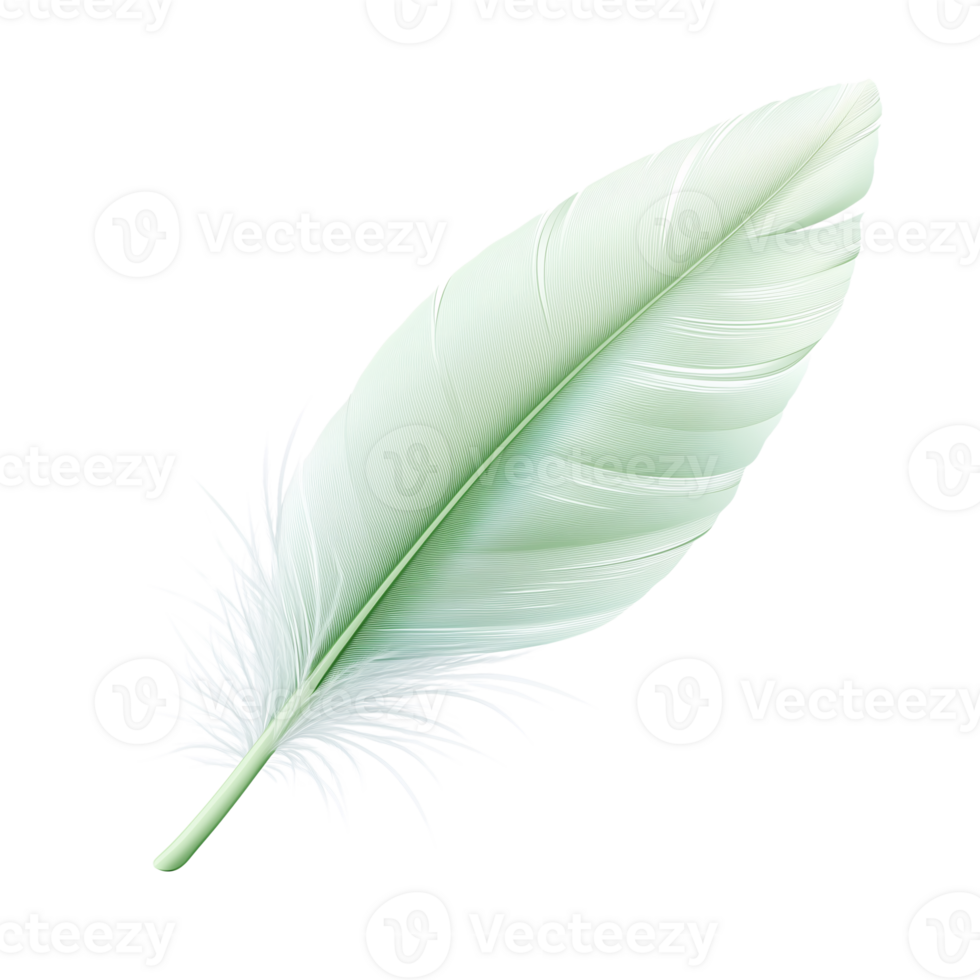 Serene Mint Green Feather Elegant Design Element, Nature Illustration png
