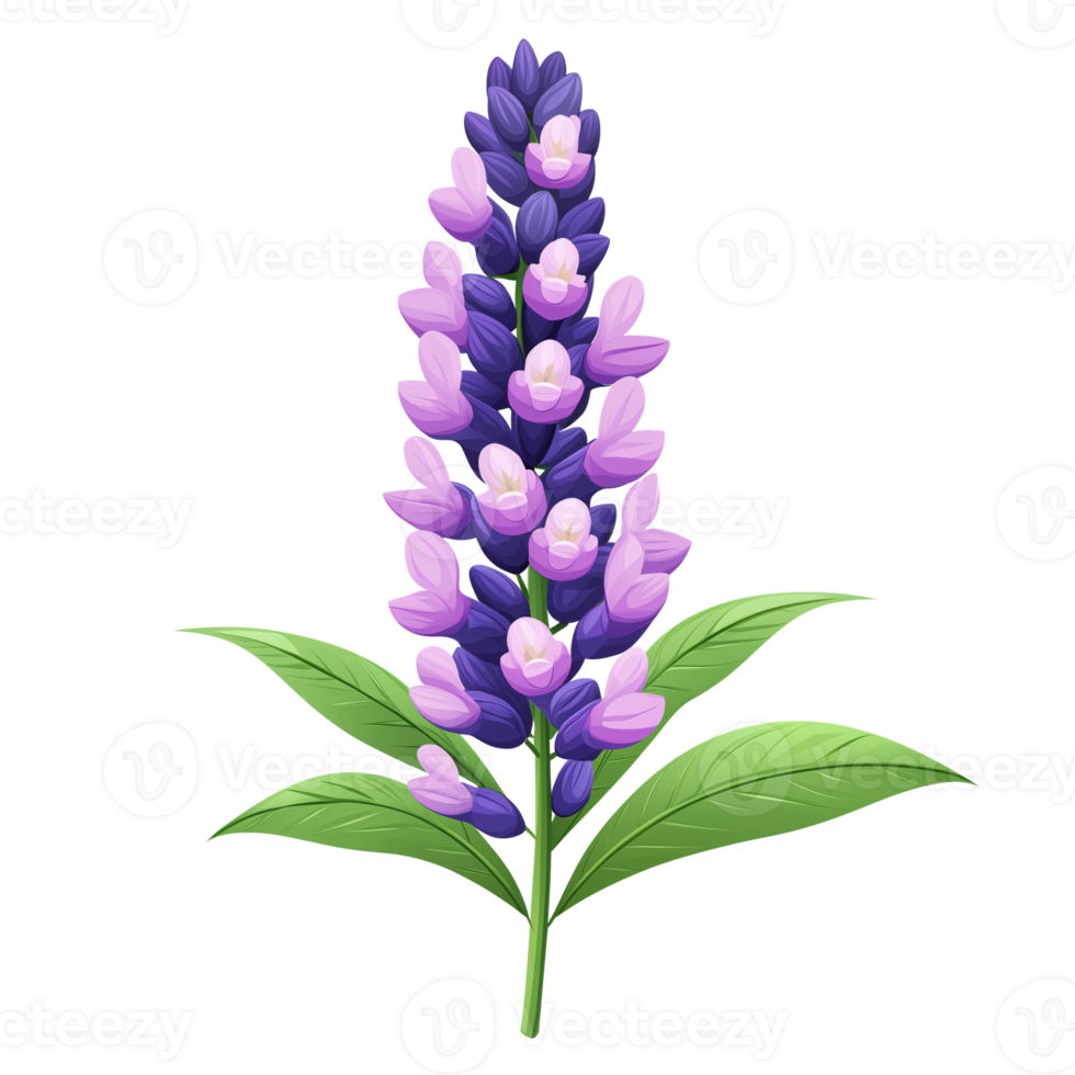 Vibrant Purple Flower Illustration Botanical Design with Serene Mood png