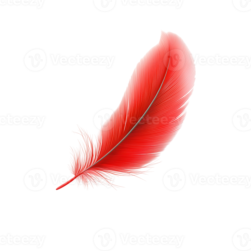 Vibrant Red Feather Isolated, Detailed, High-Resolution Image png