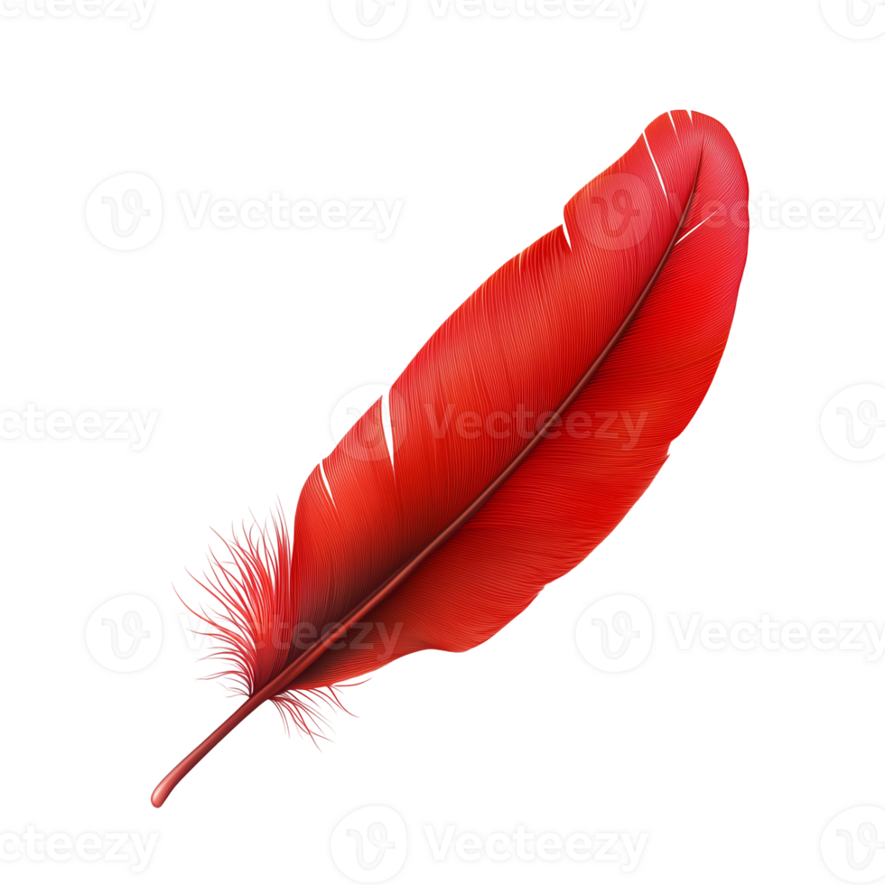 Vivid Red Feather Elegant Design Element, Isolated on Black Background png