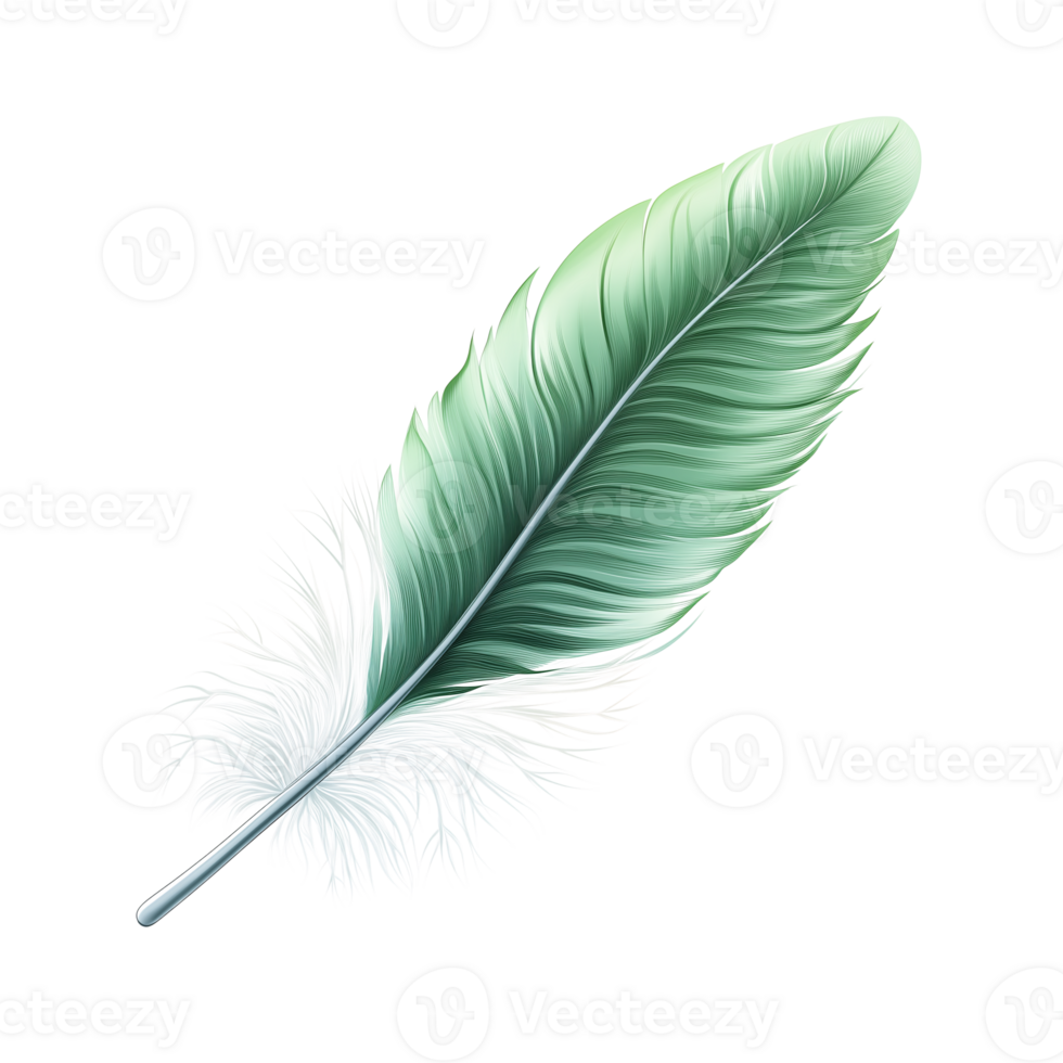 Elegant Green and White Feather Design Nature Inspired Artwork png