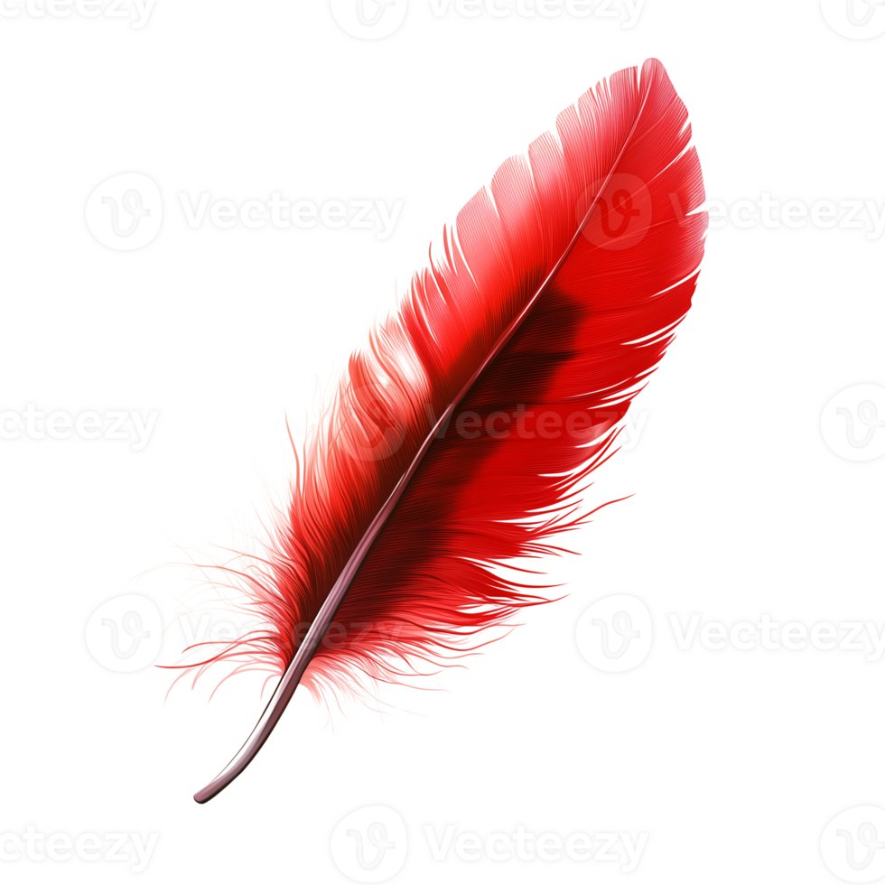 Vibrant Red Feather Design Isolated Bird Feather Illustration, Dark Background png
