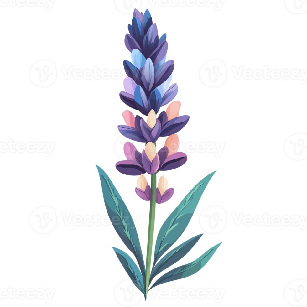 Elegant Purple and Blue Flower Illustration Botanical Design Element png