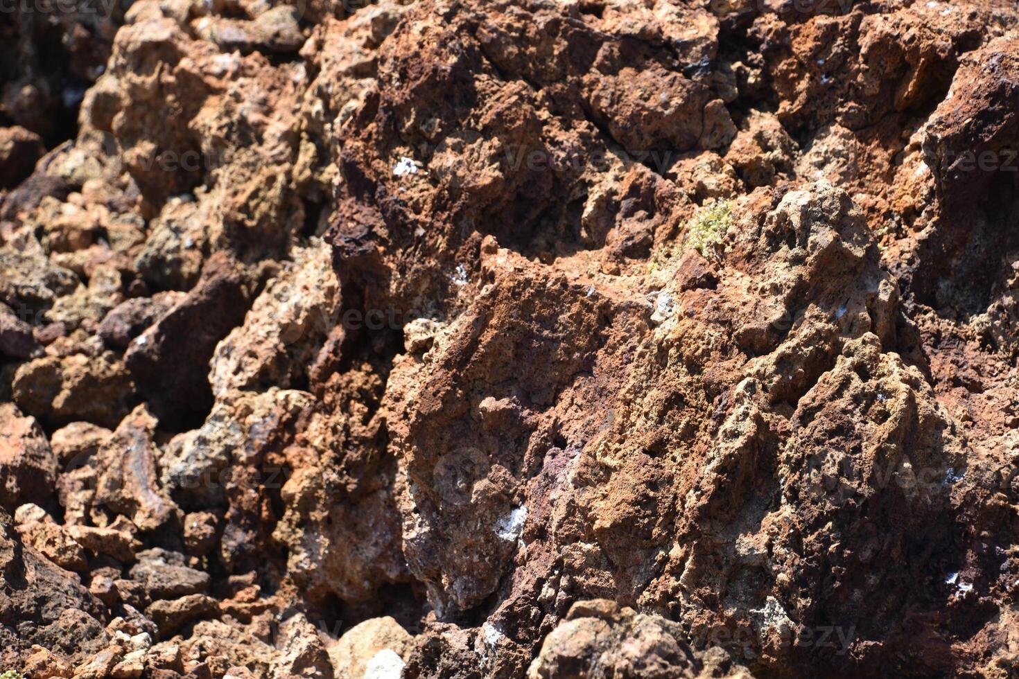 Rugged Lava Rock Up Close and Personal photo