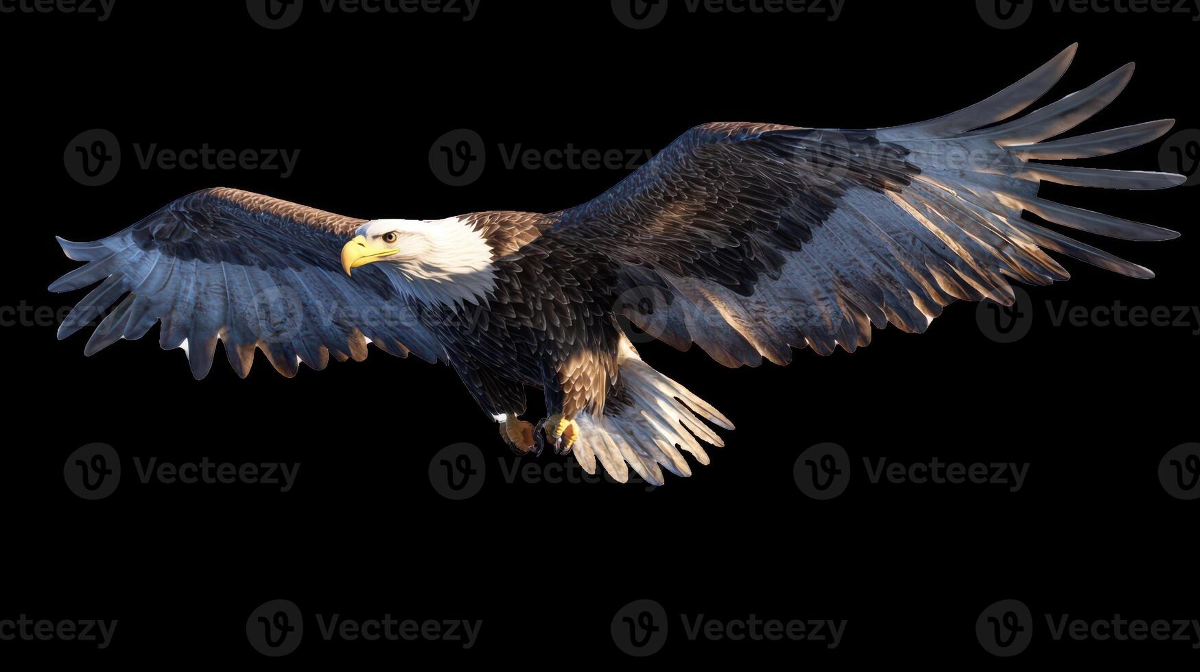 A large eagle is flying in the sky photo