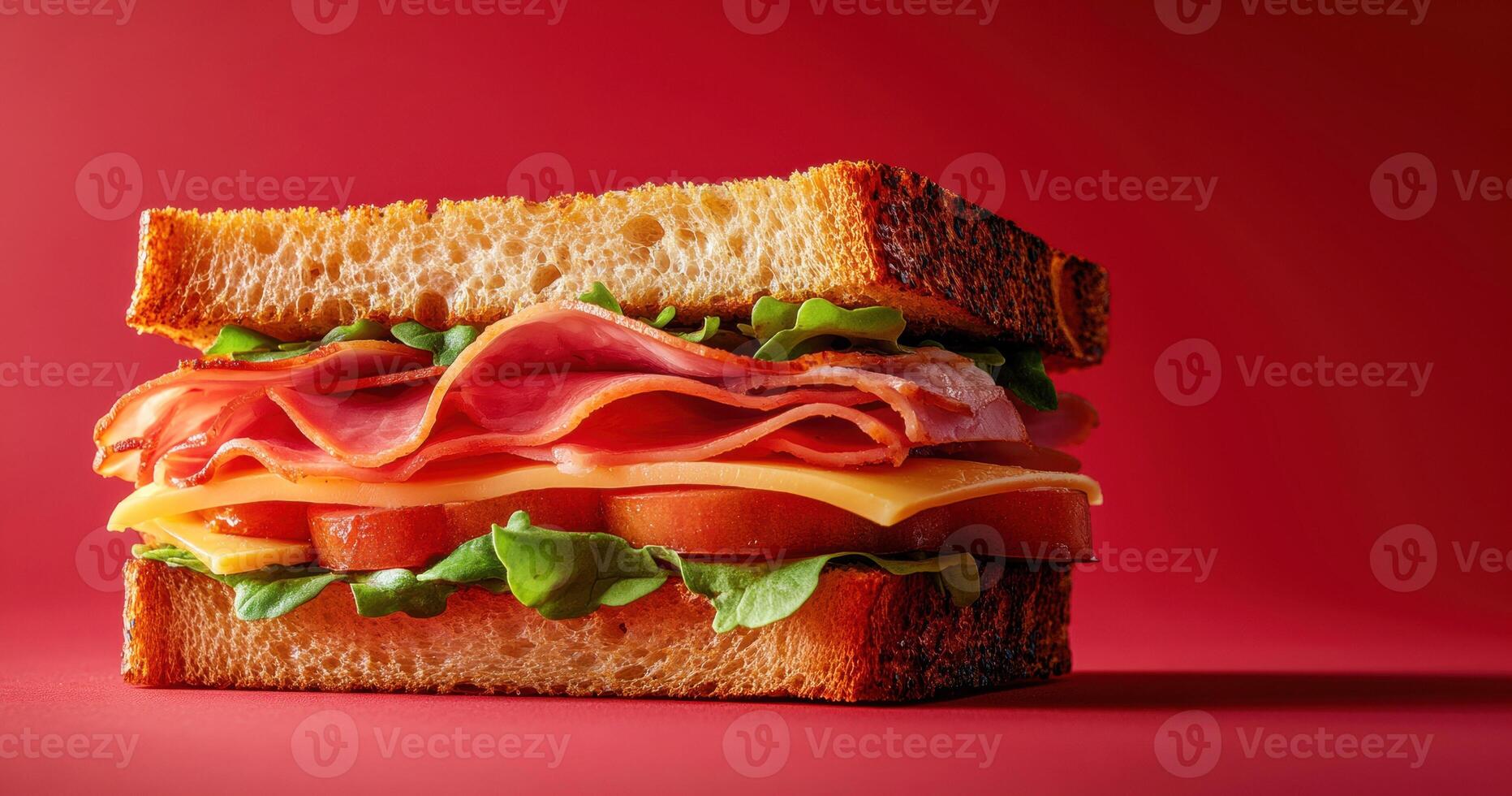 Layered ham sandwich featuring melted cheese, ripe tomato, crisp lettuce nestled between golden-brown toasted bread slices photo