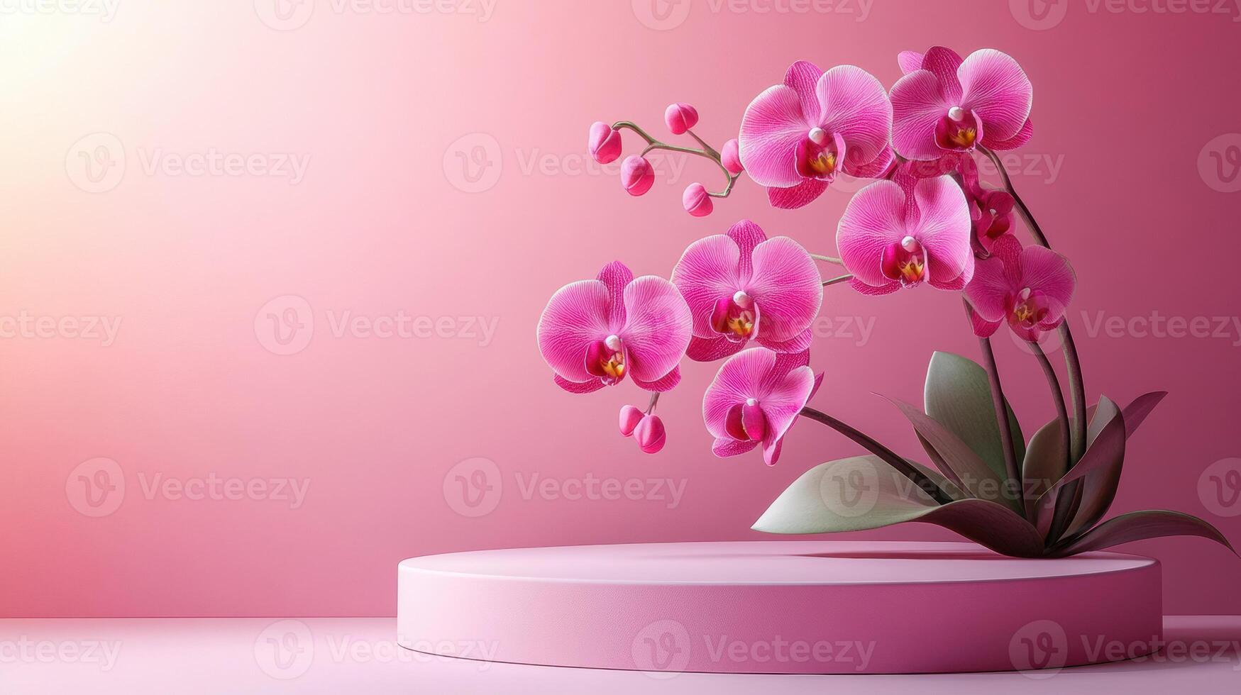 Pink orchid flowers growing from a pink podium on a pink background, creating a delicate and elegant composition photo