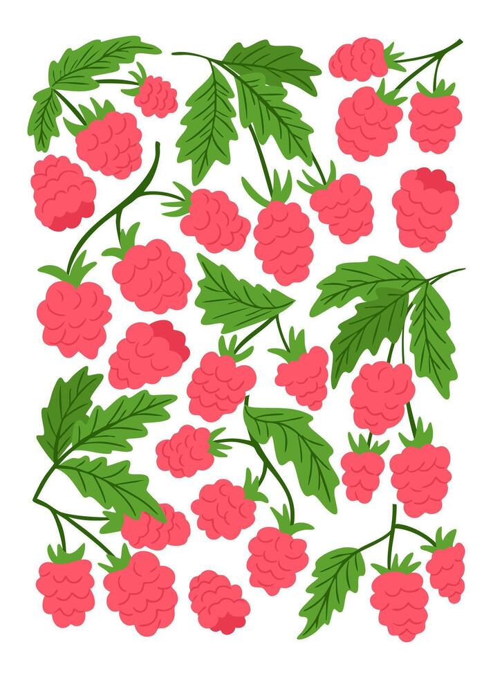 Bright poster illustration of pink raspberries with green leaves scattered on a white background. Symbolizes summer harvest, organic food and natural freshness in a cheerful botanical design vector