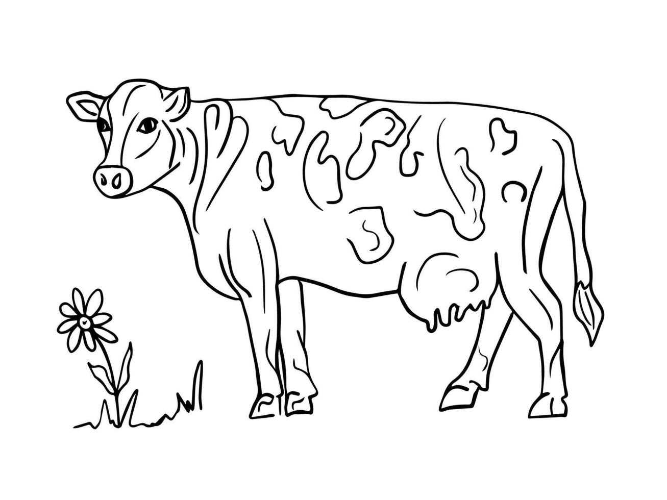 Cute cow with flower, horizontal contour illustration in doodle style. Farm animals, cattle. The concept of farm products, organic dairy and meat products. Banner, the logo of a dairy store. vector