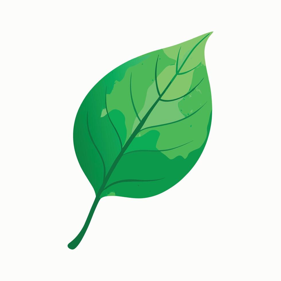 Green leaf illustration with natural vein texture and curve vector