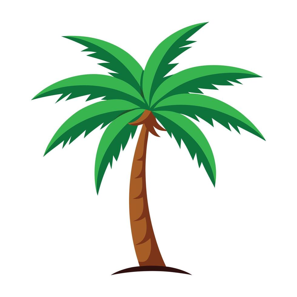 Tall tropical coconut palm tree with green leaves and brown trunk vector