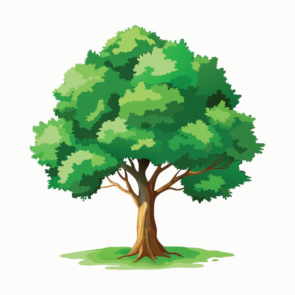 Realistic green tree with full foliage on white background vector