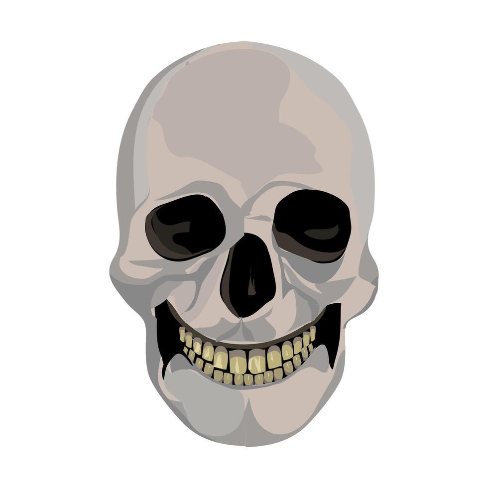 calabera or skull illustration for halloween and other spooky backgrounds vector