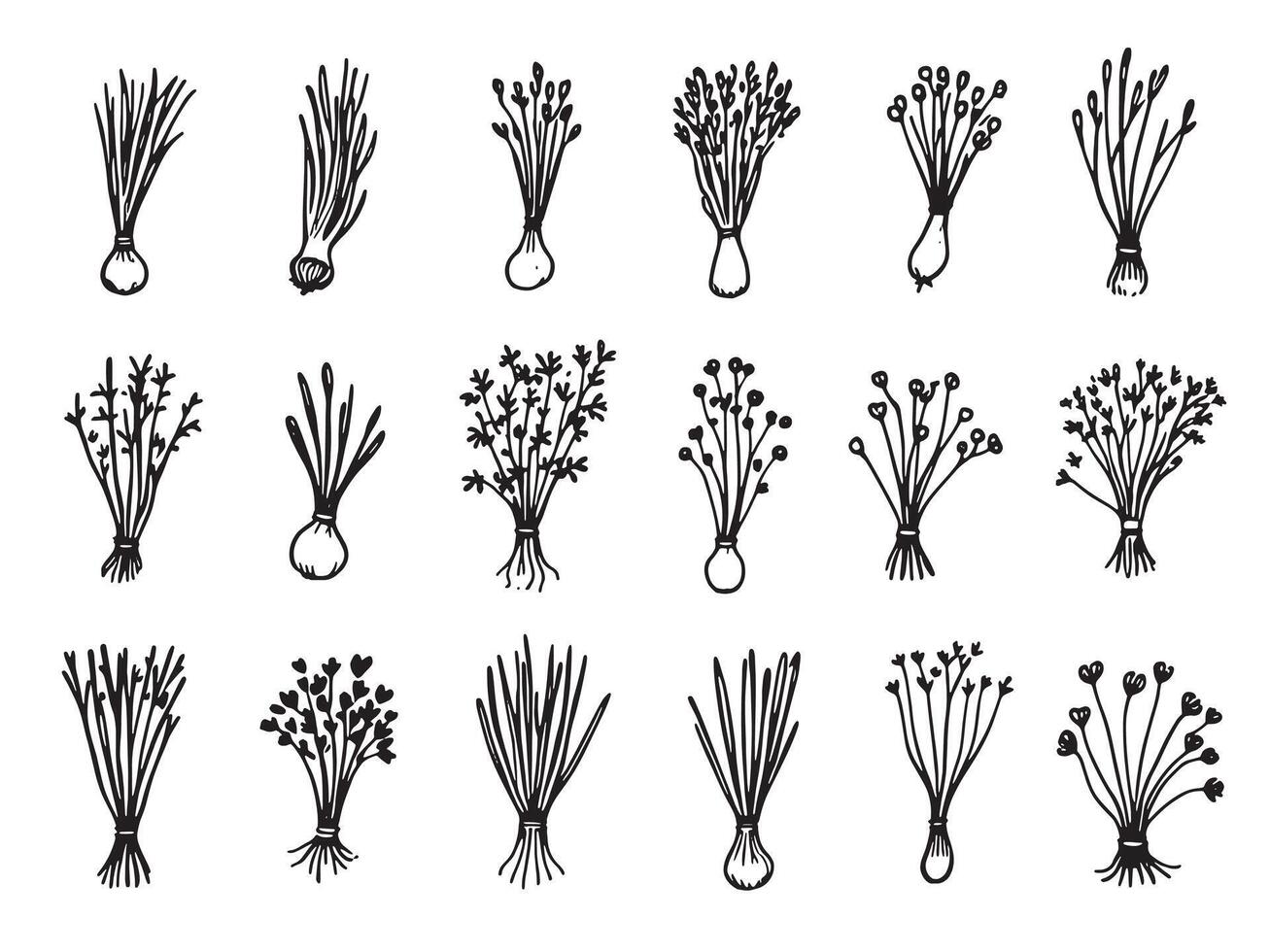 A set of different types of herbs and flowers vector