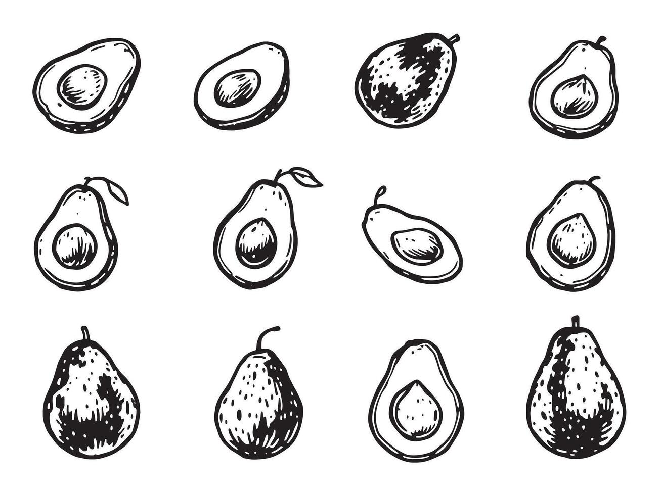 A set of different avocado slices and slices vector