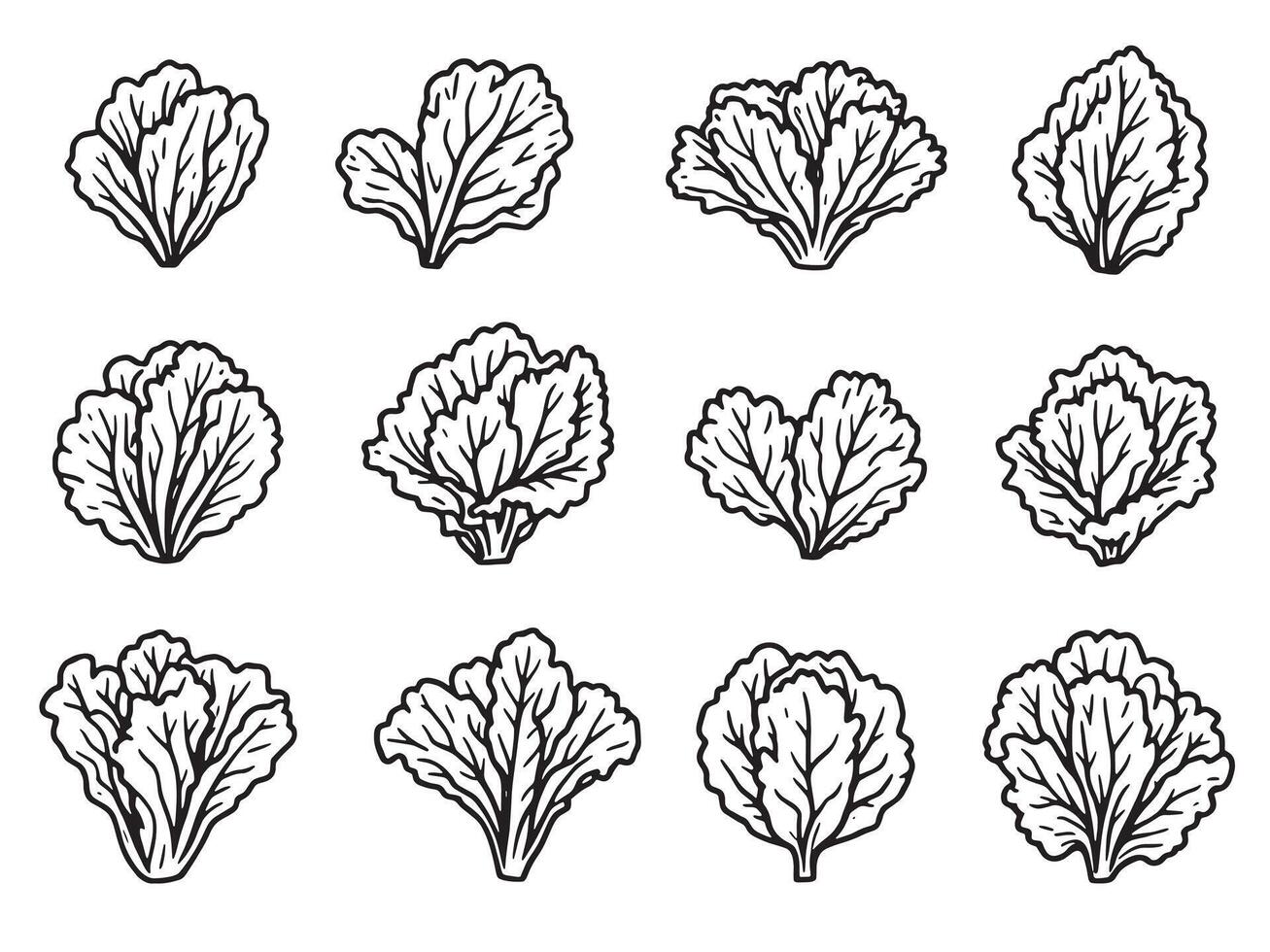 Lettuce leaf icon set, black and white illustration vector