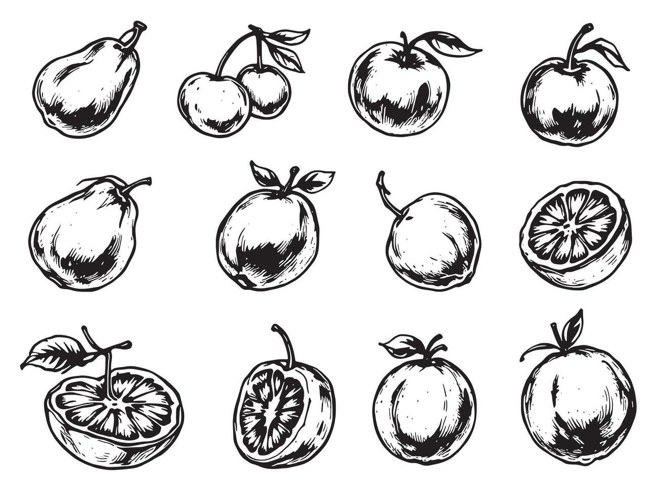 A set of fruit drawn in black ink vector