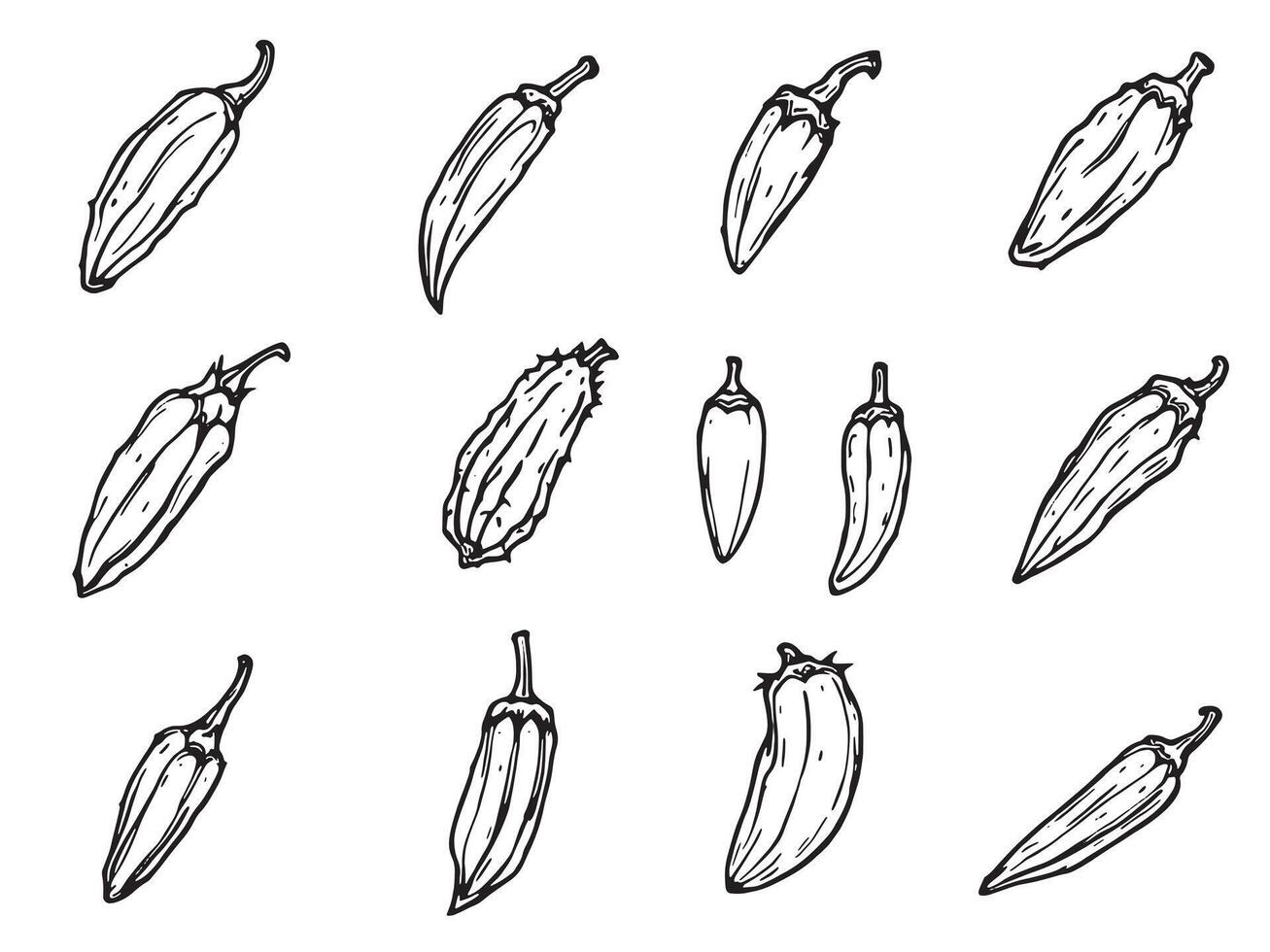 A set of different peppers in different stages of growth vector