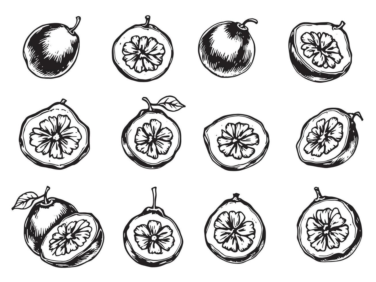 Sketch of fruit and vegetables, including a grapefruit, a peach, a plum, vector