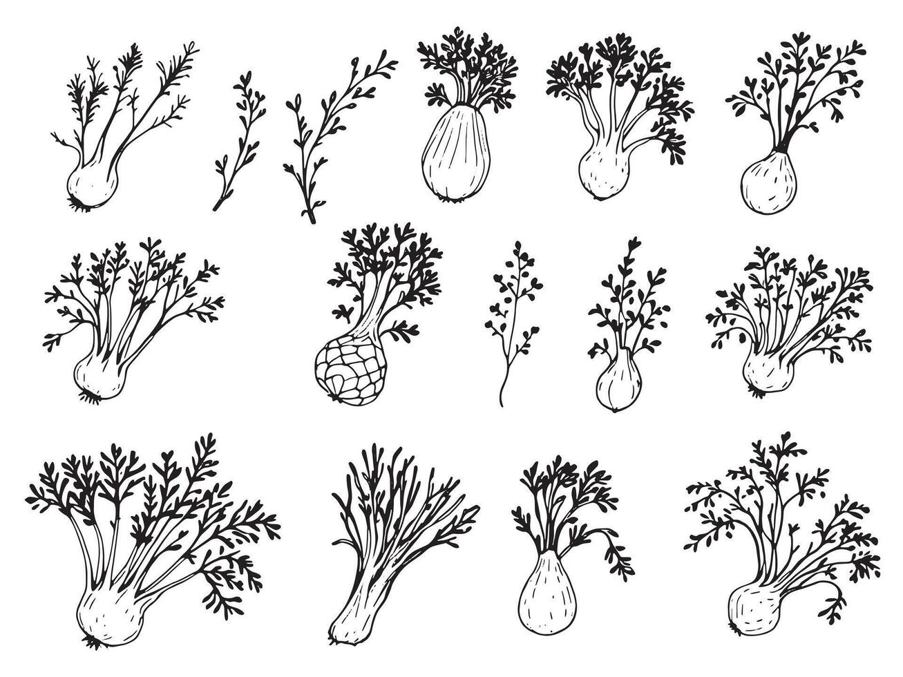 A set of hand drawn vegetables and herbs vector