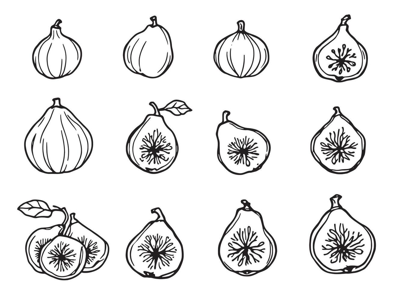 Figs and fruit set in black and white vector