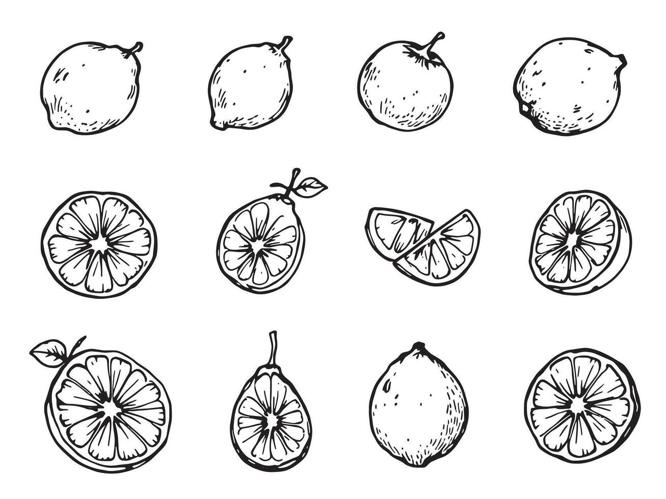 A set of hand drawn lemon slices vector