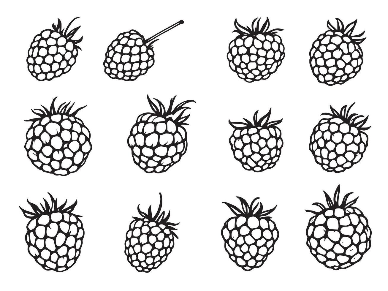 Raspberry black and white illustration vector