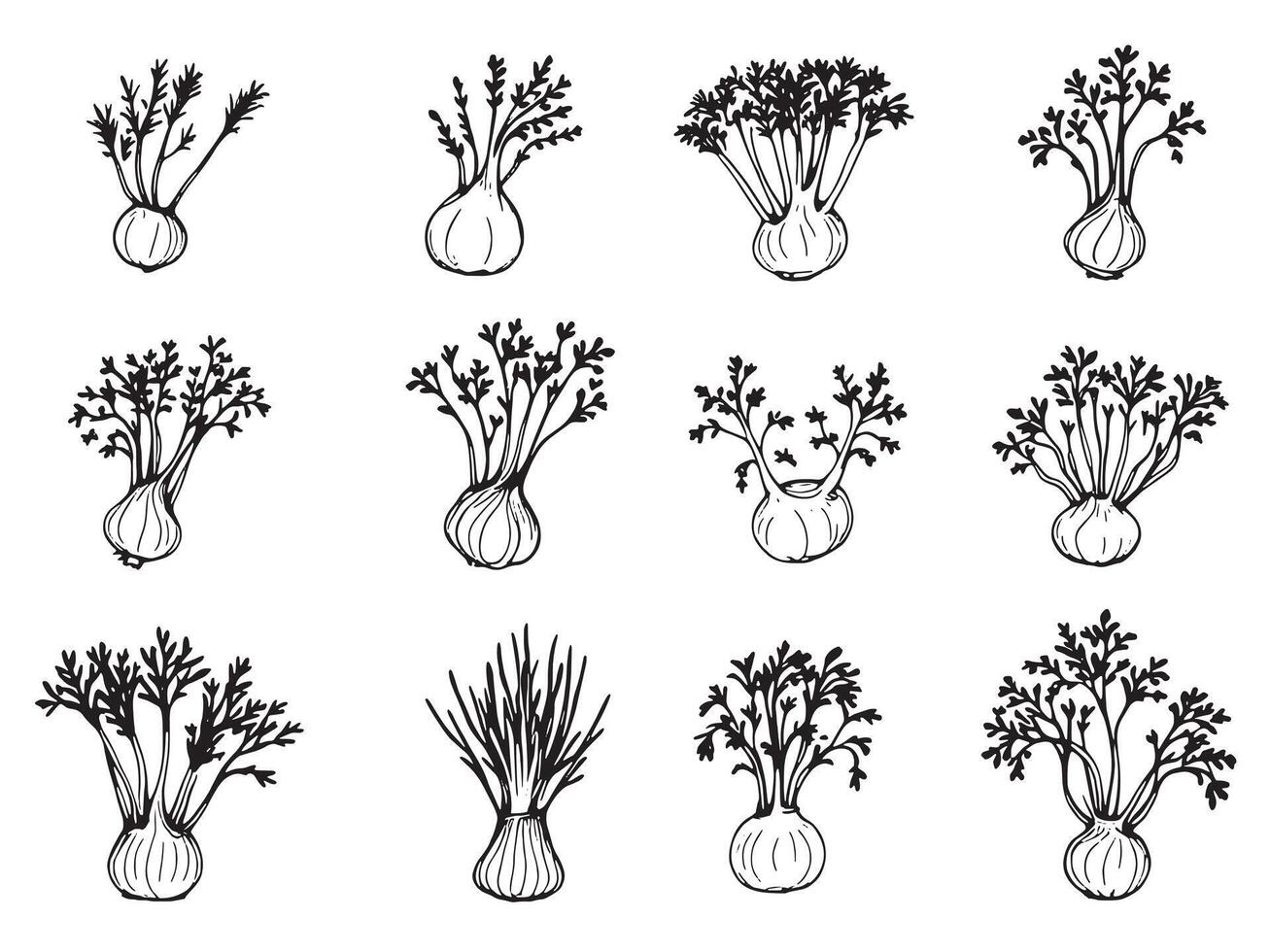 A set of hand drawn illustrations of different types of herbs vector
