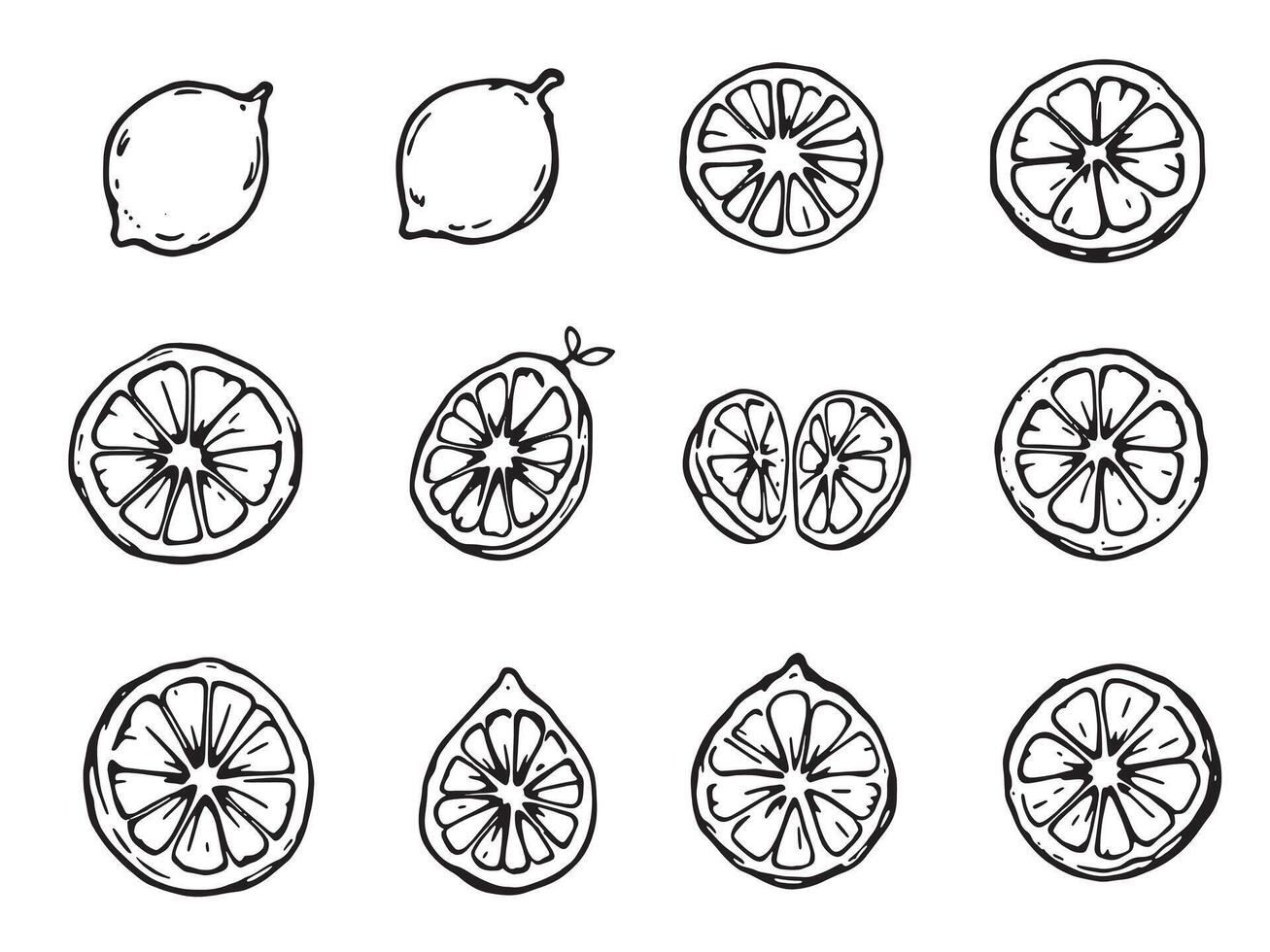 A set of lemon slices and slices drawn in black and white vector