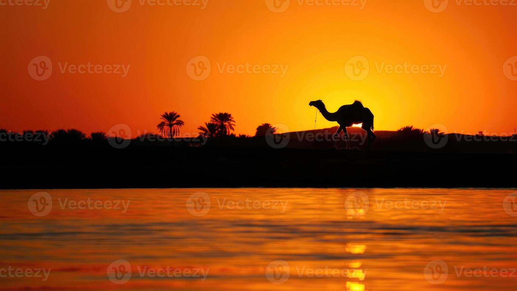 Majestic camel silhouette against a stunning Egyptian sunset on the banks of the Nile River photo