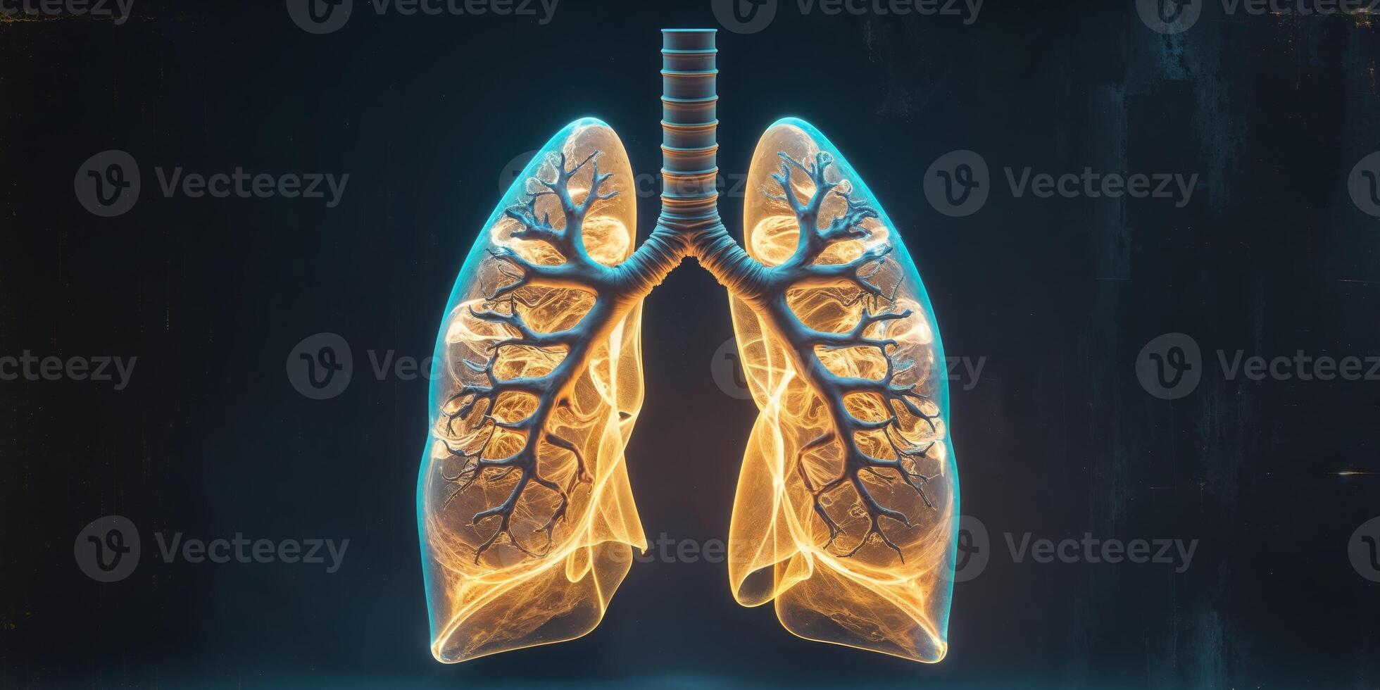 Illuminated Lungs Structure on Dark Background. photo