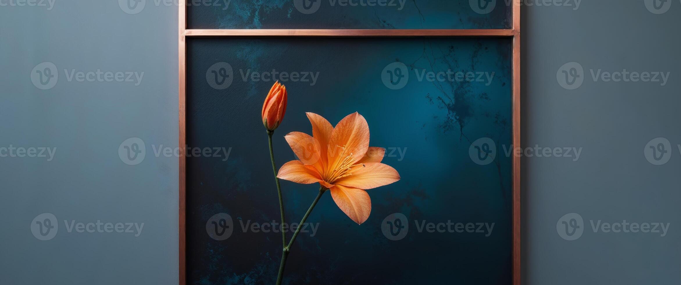 Orange Flower with Copper Frame on Dark Blue Abstract Background photo