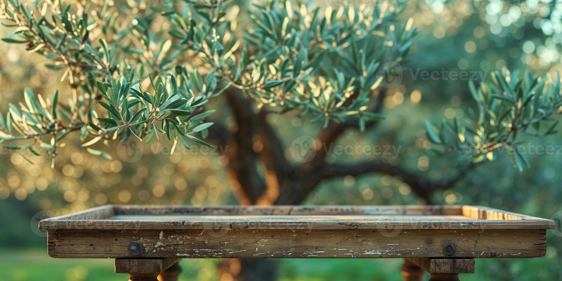 A wooden tray with a leafy olive tree in the background. photo