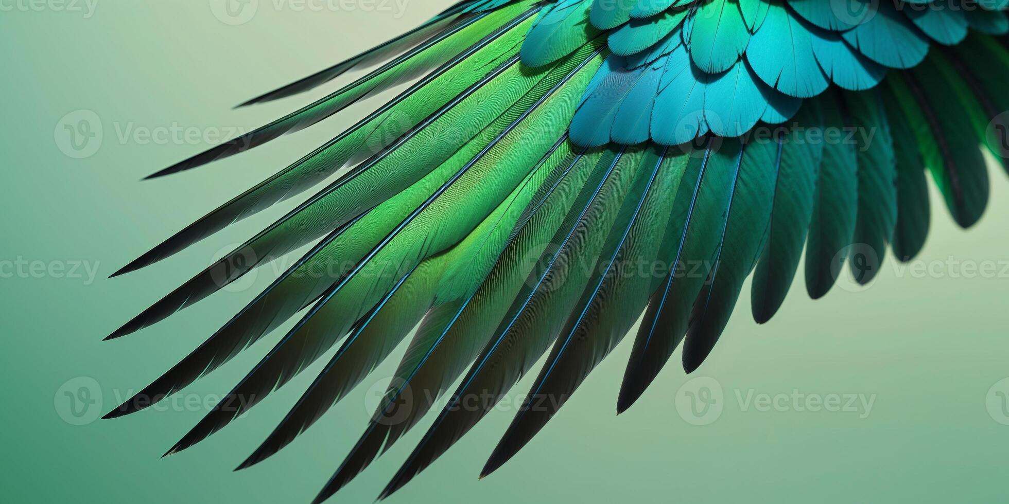 A close up of a bird's wing with a green background photo