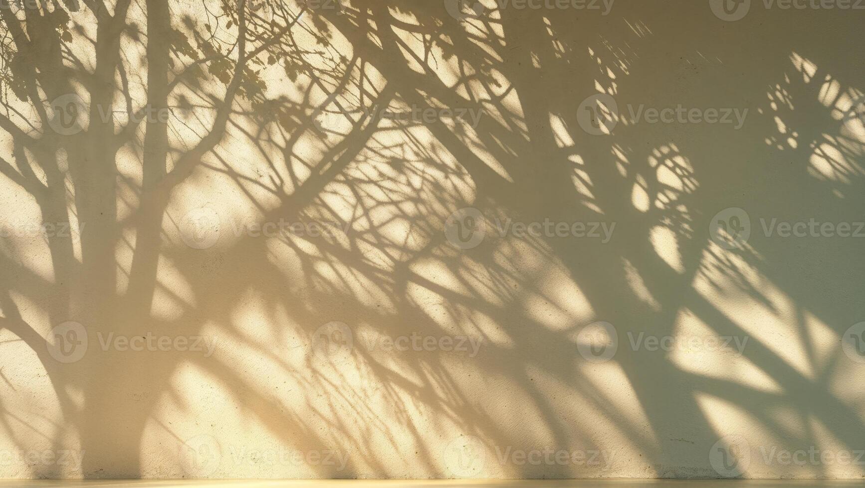 Soft light on beige wall with tree branch shadows photo