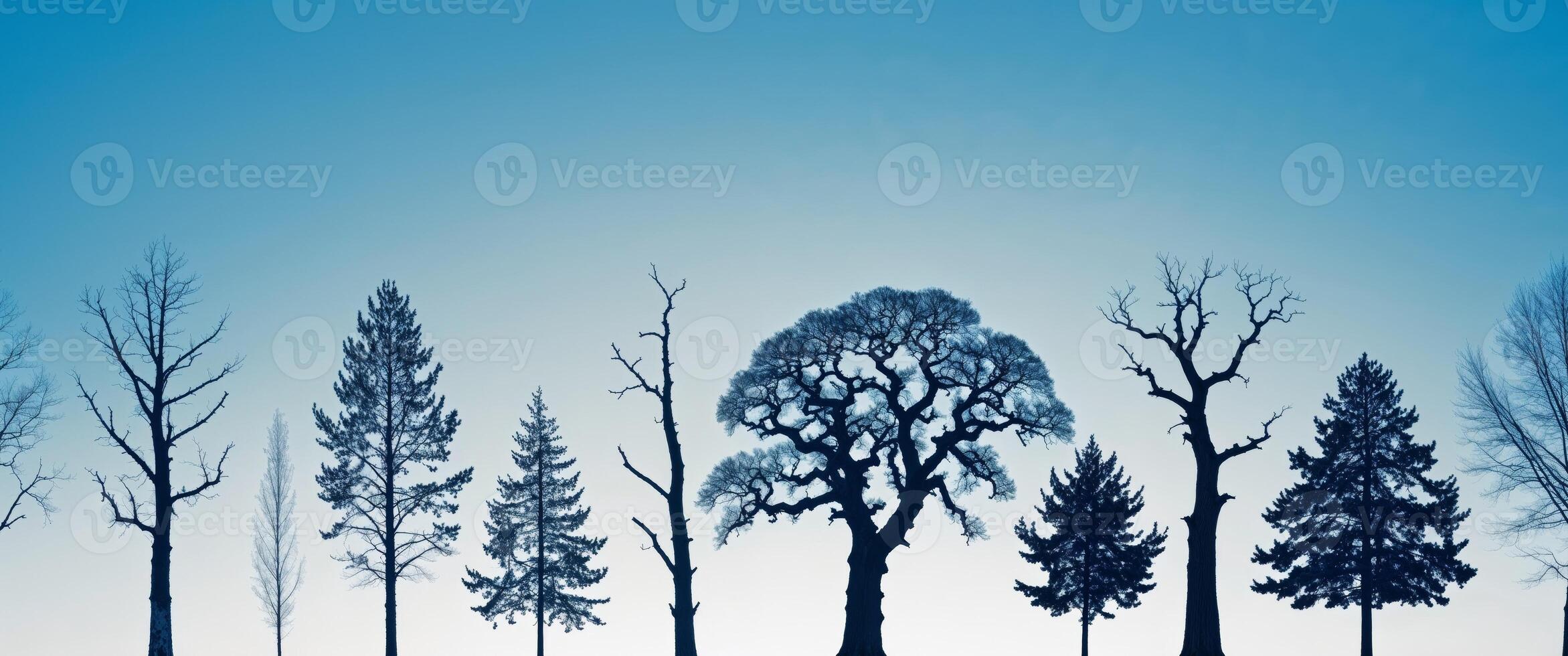 A group of trees in a blue sky photo
