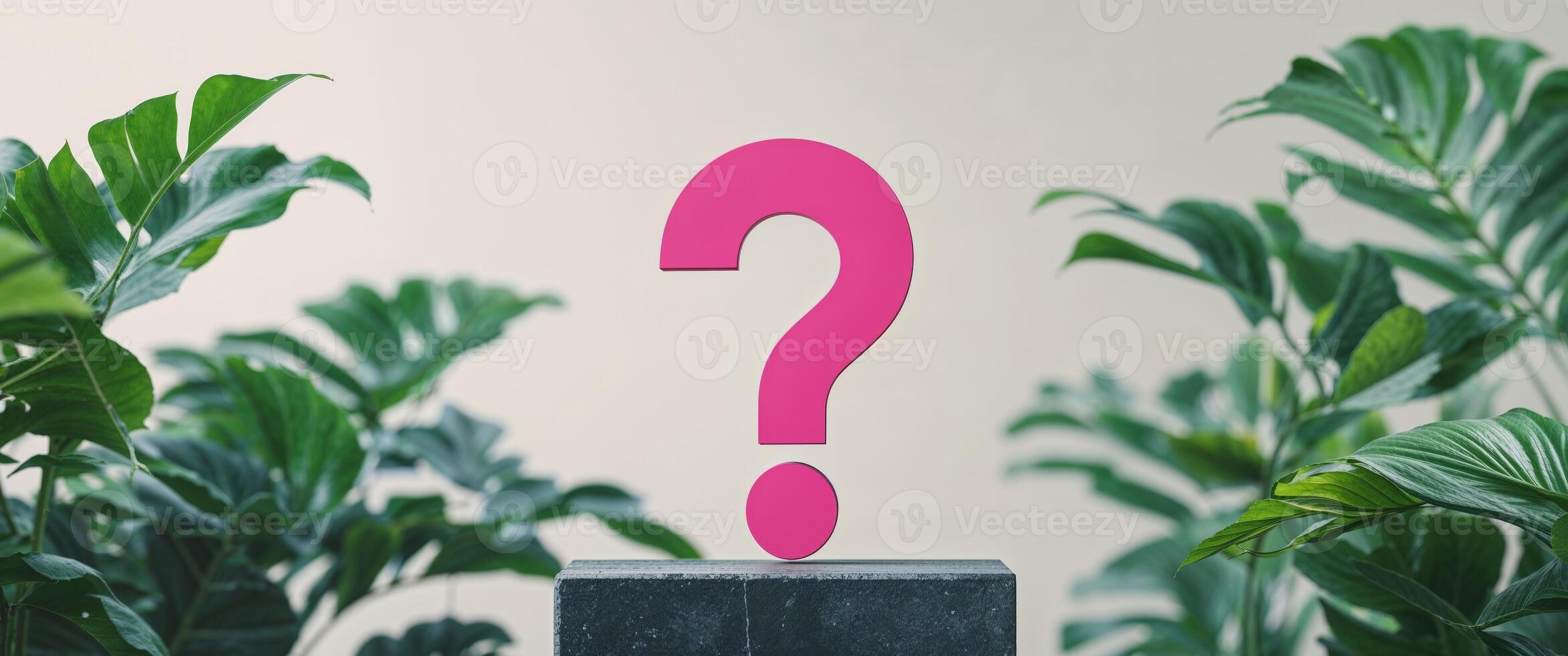 Pink Question Mark on Dark Stone Podium Amid Lush Green Tropical Foliage. photo