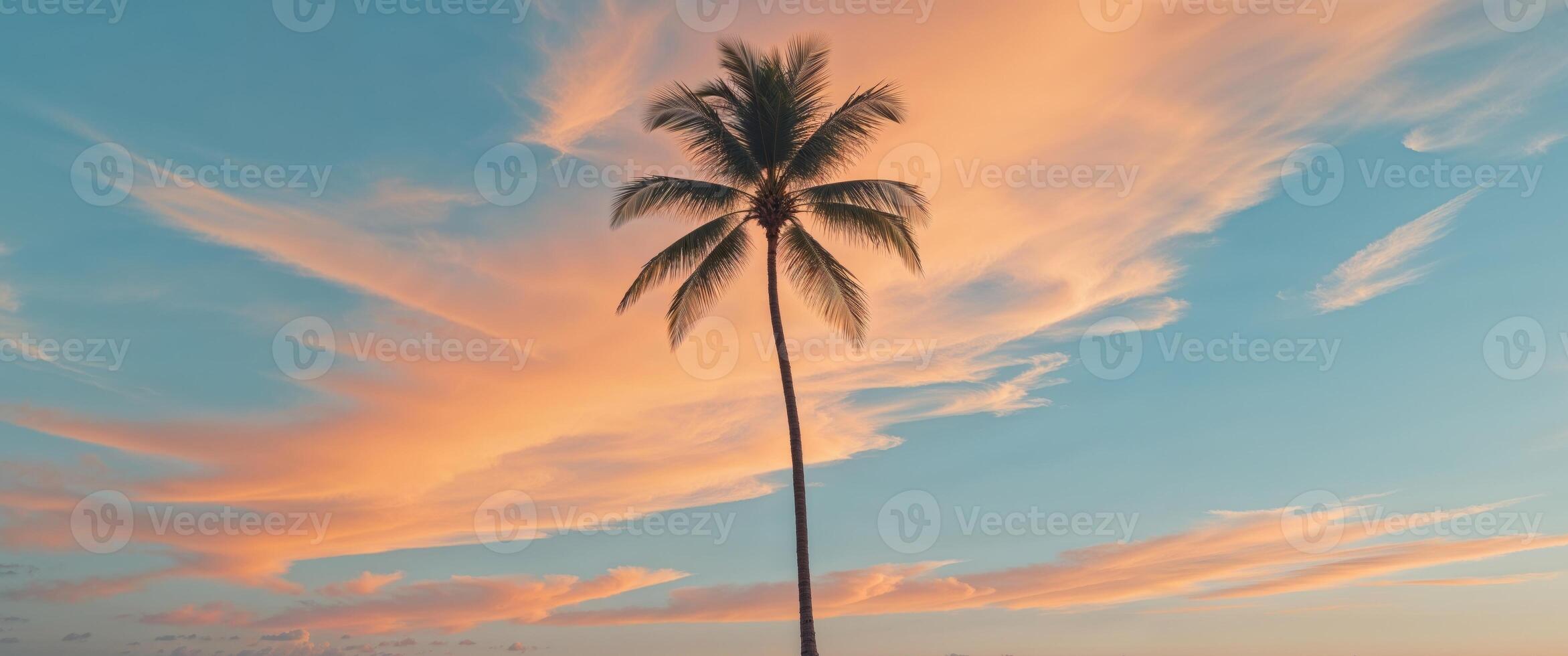Tropical palm tree silhouette at sunset with orange and blue sky photo
