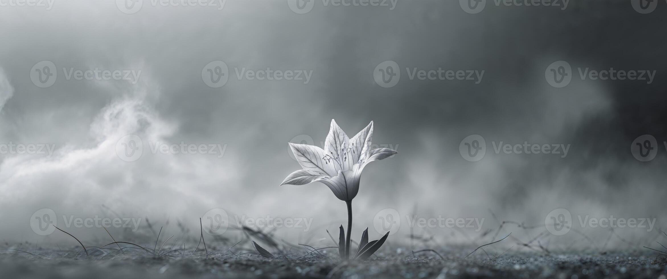 Solitary Bell in Smoky Light A Monochromatic Image of Tranquility and Mystery. photo