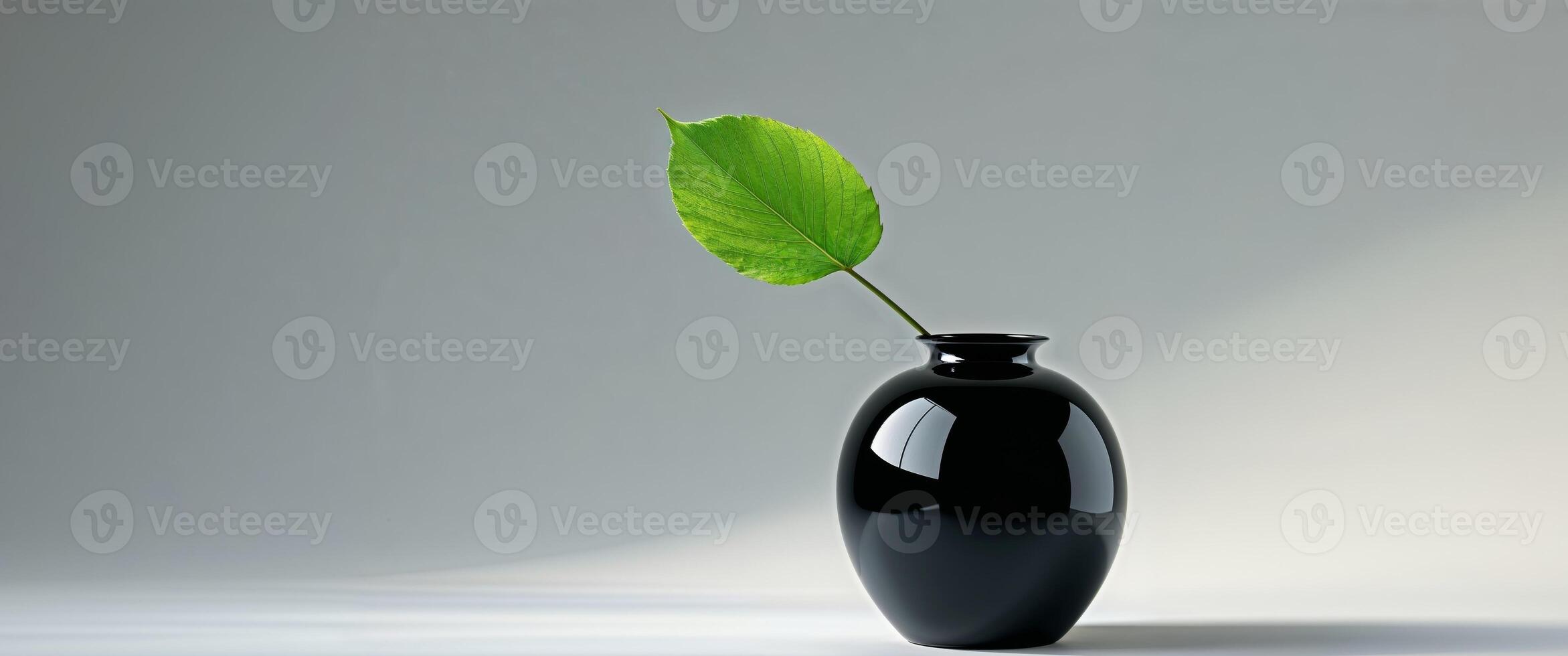 Black Vase with Green Leaf on Light Grey Background photo