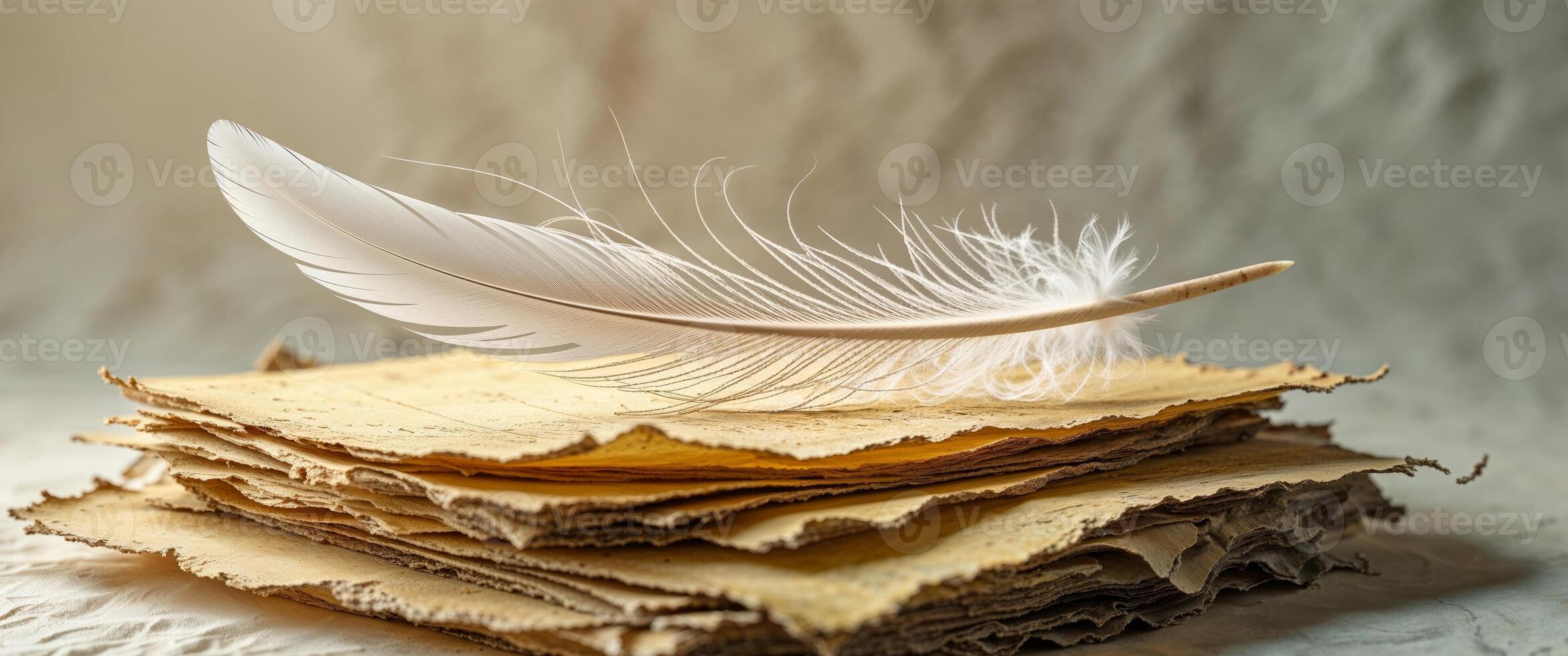 A feather is sitting on top of a stack of old papers photo